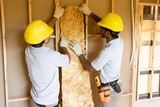 Eco-Friendly or Green Insulation Solutions in Glassmanor, MD